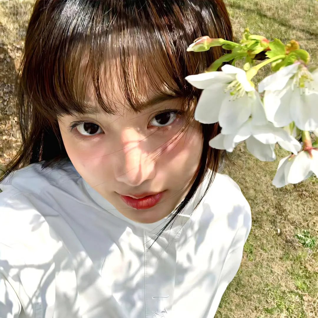 阿雅与魔女
