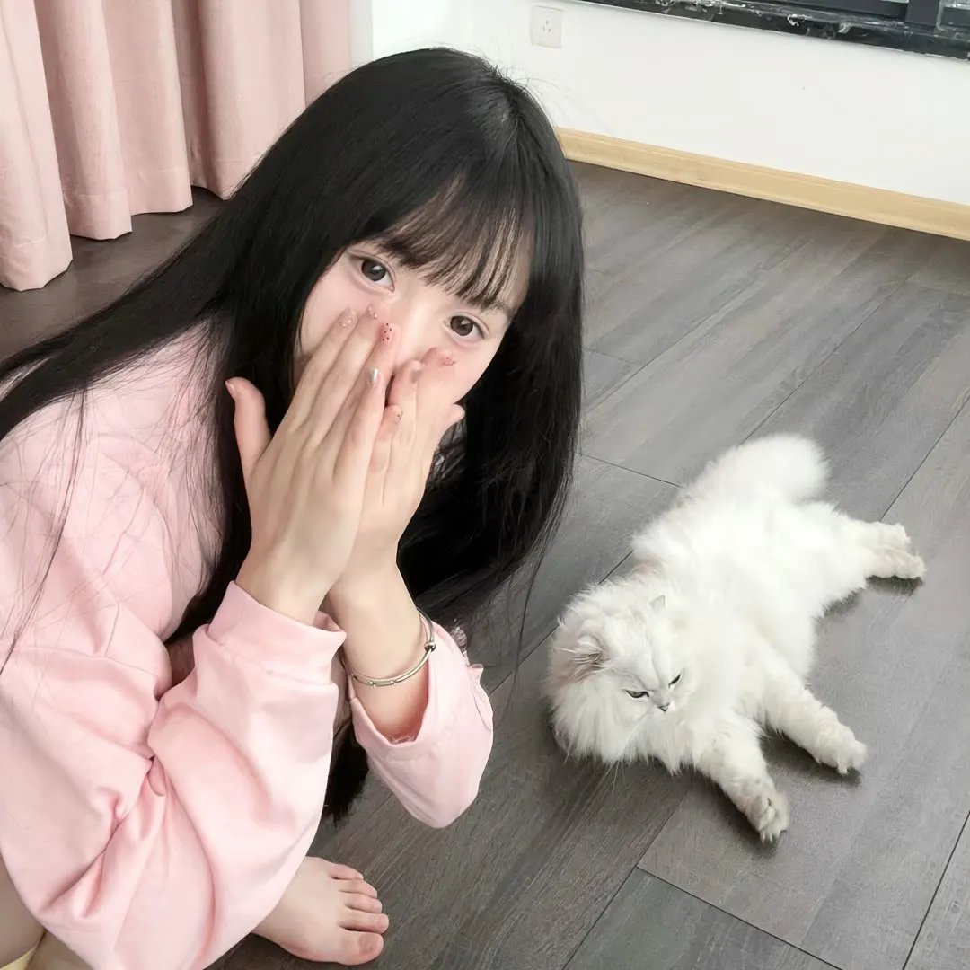 情陷高达